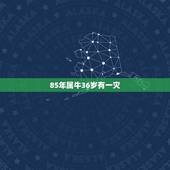 85年属牛36岁有一灾，为什么85属牛35岁有一劫