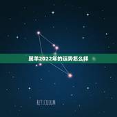 属羊2022年的运势怎么样，1979年未羊人2022虎年运势