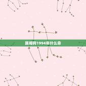 属相狗1994年什么命，1994年三月属狗是什么命