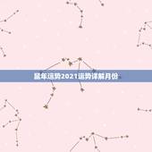 鼠年运势2021运势详解月份，属鼠人2021年每月运势运程每月