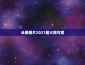 头像图片2021最火爆可爱，2021年用什么做微信头像最好