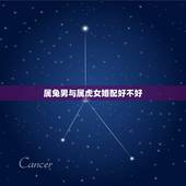 属兔男与属虎女婚配好不好，男属兔和女属虎的婚姻好不好