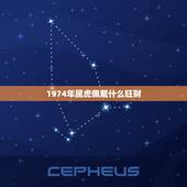 1974年属虎佩戴什么旺财，1974年属虎的女人一生