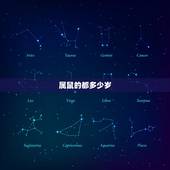 属鼠的都多少岁，属鼠的今年多大岁数