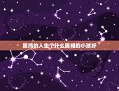属鸡的人生个什么属相的小孩好，属鸡和属猪生个什么属相的宝宝好