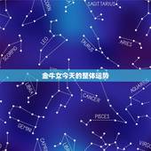 金牛女今天的整体运势，金牛座女生本周运势