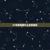87年属兔做什么生意最旺 2022年属兔的超级贵人