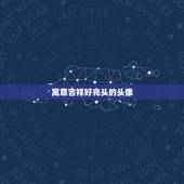 寓意吉祥好兆头的头像，这个头像寓意是什么