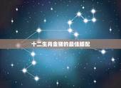 十二生肖金猪的最佳婚配，属相金狗和金猪结婚时