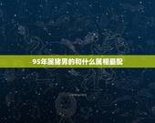 95年属猪男的和什么属相最配，95属猪男的和什么属相最配