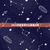 2023虎宝宝忌什么属相父母，1993年父母生2022年属虎的宝宝好吗