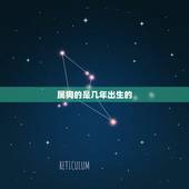 属狗的是几年出生的，属狗的出生年月