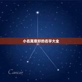 小名寓意好的名字大全，属鼠寓意好的小名