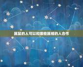 属鼠的人可以和哪些属相的人合作，属鼠的在2016年和什么属相的人合作最