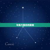 与兔六相合的属相，兔跟什么生肖相合