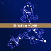 属牛的金牛座2022运势，2022金牛座运势如何