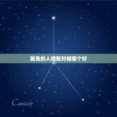 属兔的人婚配对相哪个好，属兔的要与属什么的相配最好