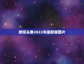 微信头像2022年最新版图片，2021年属鼠微信头像用高山流水图片好吗