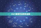 2021属相牛运势及运程，属牛人2021年全年运势详解