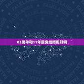 03属羊和11年属兔结婚配好吗，属羊的今年和属兔的结婚好吗？