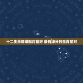 十二生肖婚姻配对最好 最有缘分的生肖配对