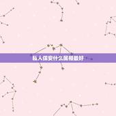 私人保安什么属相最好，十二生肖中什么动物代表保安