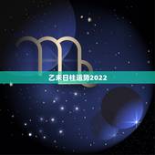 乙未日柱运势2022，乙未日柱壬寅年运势