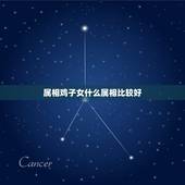属相鸡子女什么属相比较好，属鸡的最好要个属哪个属相得孩子