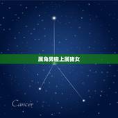 属兔男碰上属猪女，2022 年已婚属兔桃花贵人