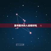 属牛属羊的人结婚好吗，属羊的跟属牛的结婚好不好？