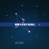 属相不合是不是真的，真的能相信属相不合相冲吗