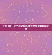 2022独一无二的公司名 霸气又聚财的名字大全