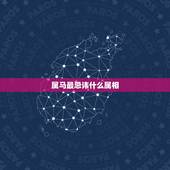 属马最忌讳什么属相，属蛇的结婚忌讳属相
