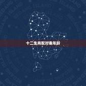 十二生肖配对表年龄，十二生肖男女婚配禁忌