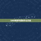 1985年的牛适合什么行业，1985年属牛男适合做什么行业