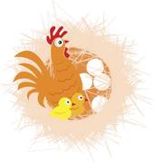 属鸡人财运和命运怎么样(解析命运多舛财运不稳)