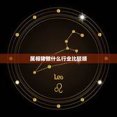 属相猪做什么行业比较顺，属猪的人适合什么职业