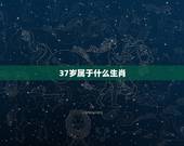37岁属于什么生肖，42岁今年多大了属什么
