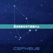属虎家里玄关不能摆什么，74年属虎2022 年每月运势