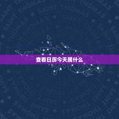 查看日历今天属什么，农历今天农历属什么啊查询今天属相