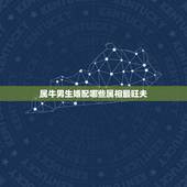 属牛男生婚配哪些属相最旺夫，属牛的和什么属相最相配 12属相婚配表