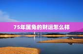 75年属兔的财运怎么样，75年生肖兔横财运