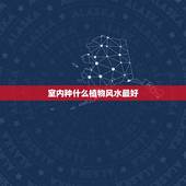 室内种什么植物风水最好，论家里种什么植物风水好