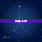 狗2022年运势，2021年狗人的全年运势如何