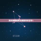 找对象属相男女都属羊好不好，某个人四个属相都属羊的好吗