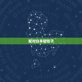 配对白羊和双子，白羊座和双子座的配对怎么样？