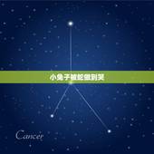 小兔子被蛇做到哭，当一只兔子救了一条蛇