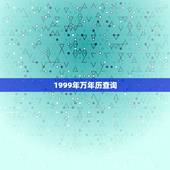 1999年万年历查询，1999年0228农历多少