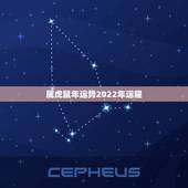 属虎鼠年运势2022年运程，74年属虎47岁有一灾2021