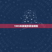 1995年属猪的更佳婚配，1995年属猪男更好婚配